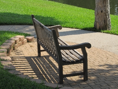 Watch table landscape tree Photo