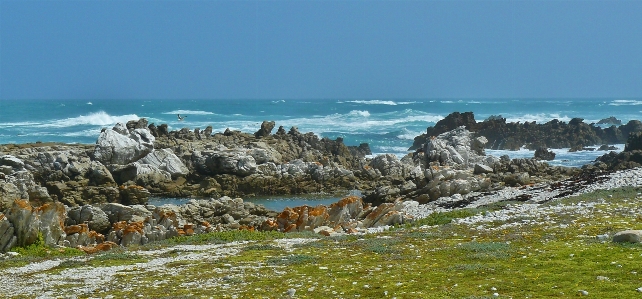 Foto Spiaggia paesaggio mare costa