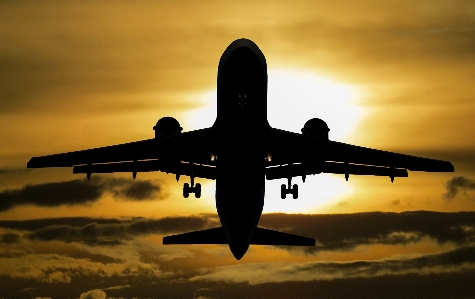 Silhouette wing sky sunset Photo