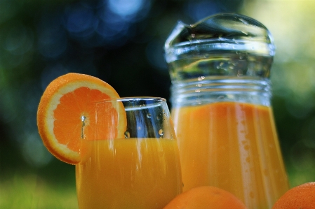 Liquid plant fruit glass Photo