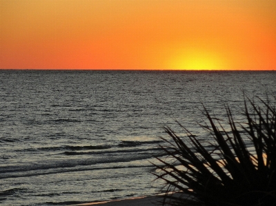 Beach sea coast water Photo