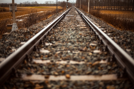 Track railway railroad train Photo