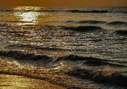 Beach sea coast water Photo