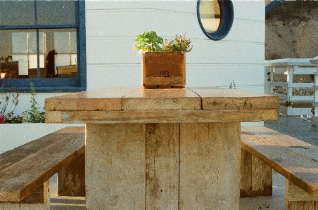 Table plant wood bench Photo