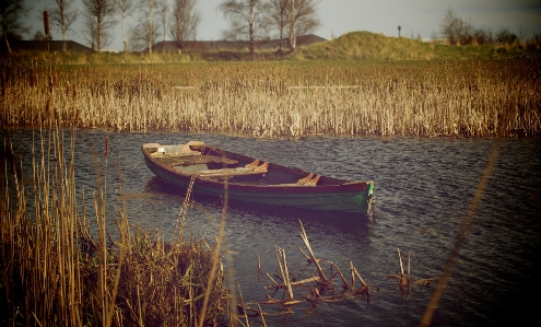 Sea water nature outdoor Photo