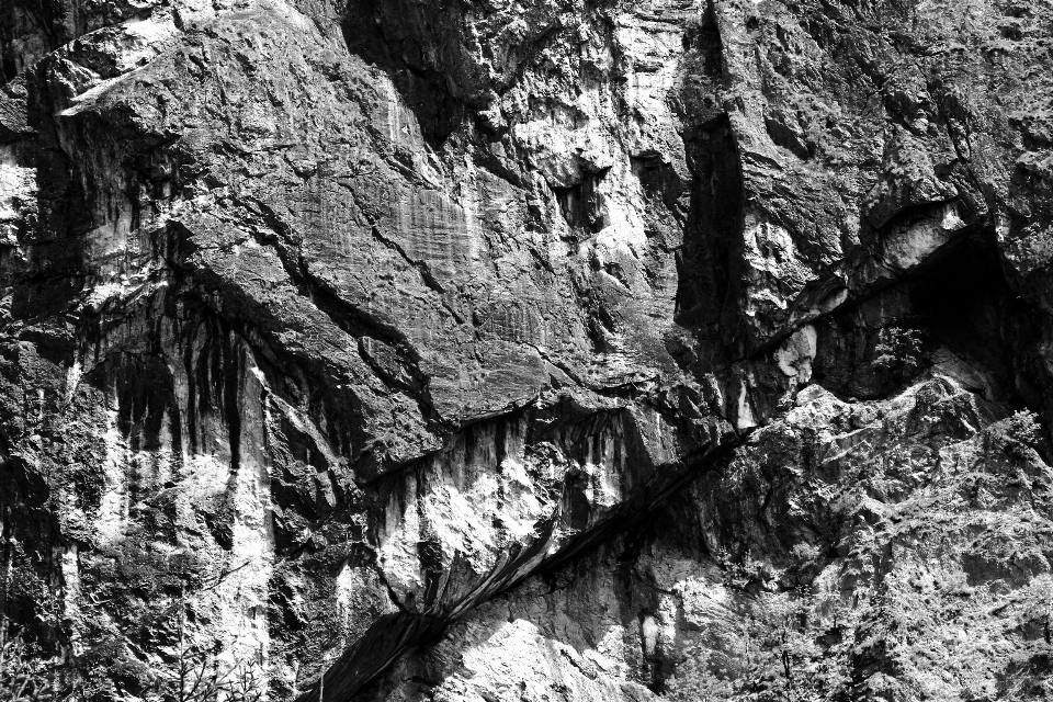 Paesaggio albero natura rock