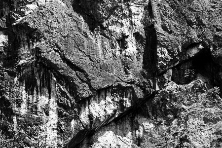 風景 木 自然 rock 写真