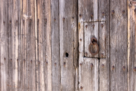 Wood texture plank ring Photo