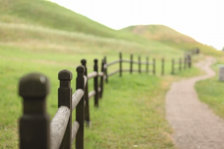 Landscape nature grass fence Photo