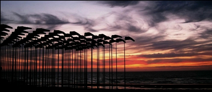 Beach sea coast horizon Photo