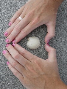 Hand beach sea sand Photo