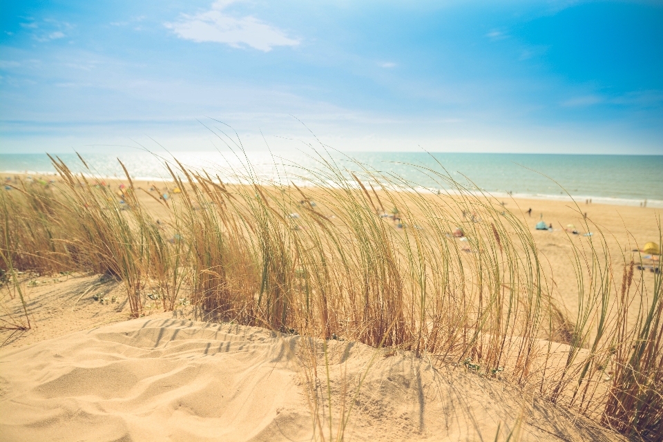 Plaża krajobraz morze wybrzeże