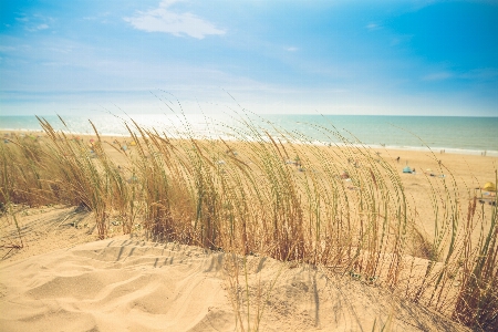 Beach landscape sea coast Photo