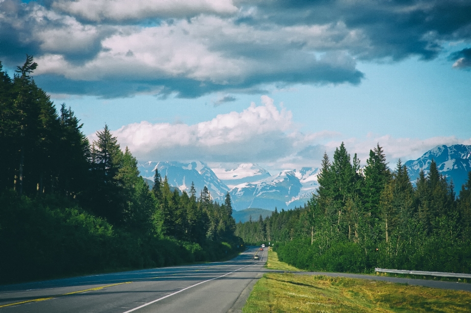 Landschaft natur wald horizont