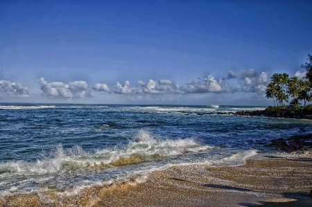 Beach sea coast water Photo