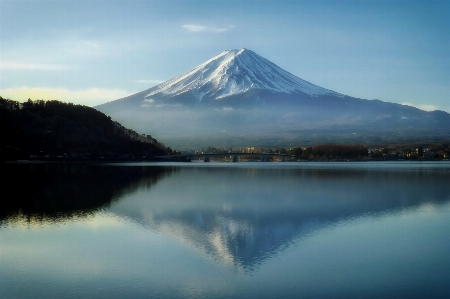 Landscape water nature forest Photo