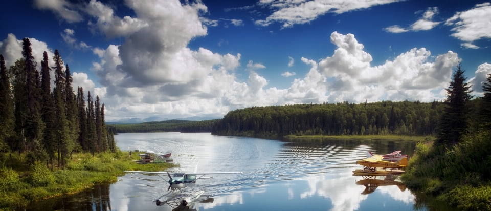 Landschaft wasser natur wald