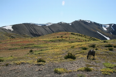 Landscape nature outdoor wilderness Photo