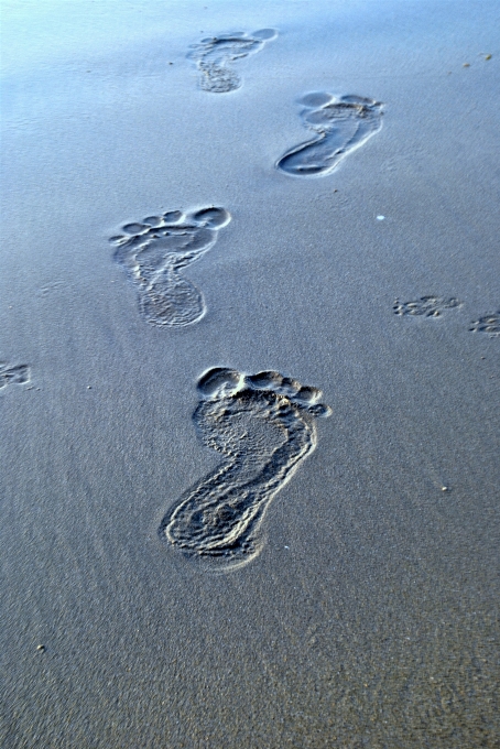 Beach sea coast water