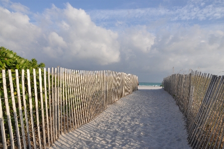 Beach sea coast water Photo