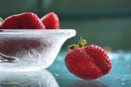 Plant raspberry fruit berry Photo