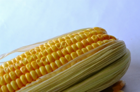 粒 皿 食べ物 収穫 写真