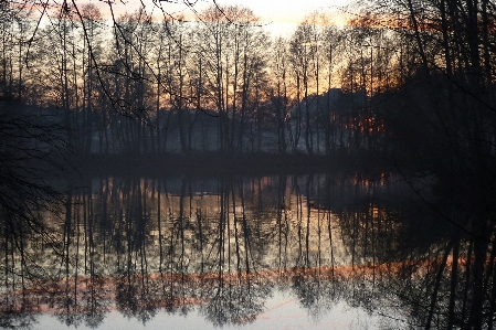 Landscape tree water nature Photo