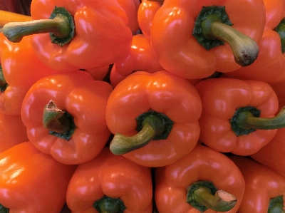 Plant fruit orange food Photo