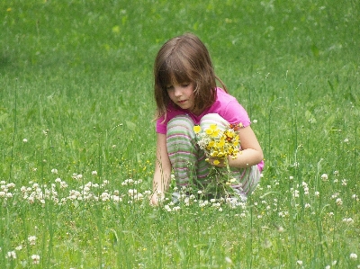 Nature grass outdoor blossom Photo