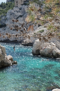 Man sea coast water Photo