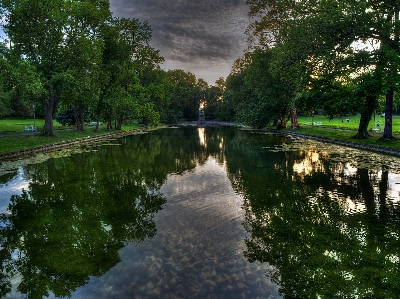 Foto Paesaggio albero acqua natura