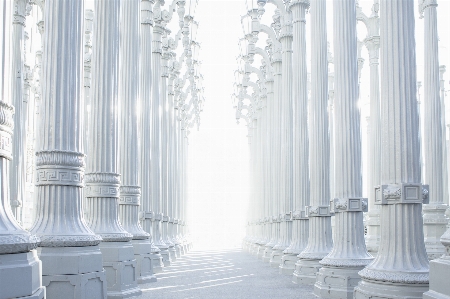 Architecture structure white palace Photo