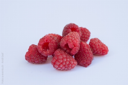 Plant raspberry fruit berry Photo