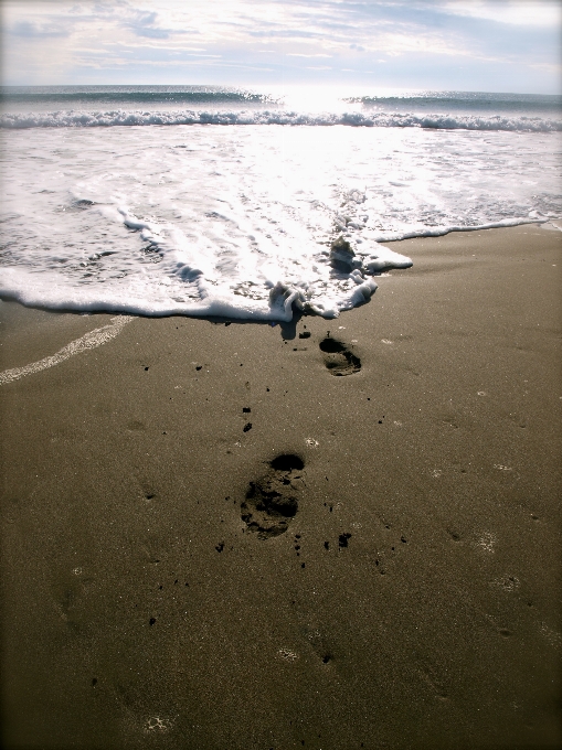 海滩 景观 海 海岸