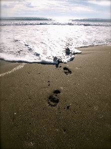 Beach landscape sea coast Photo