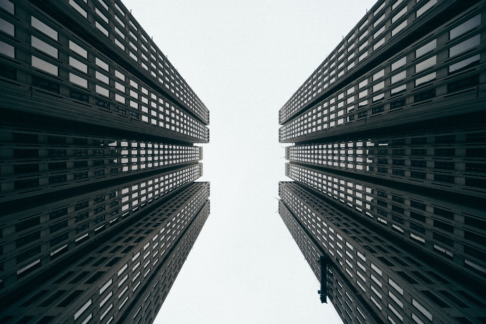 En blanco y negro
 arquitectura perspectiva edificio