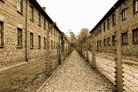 Barbed wire track road street Photo