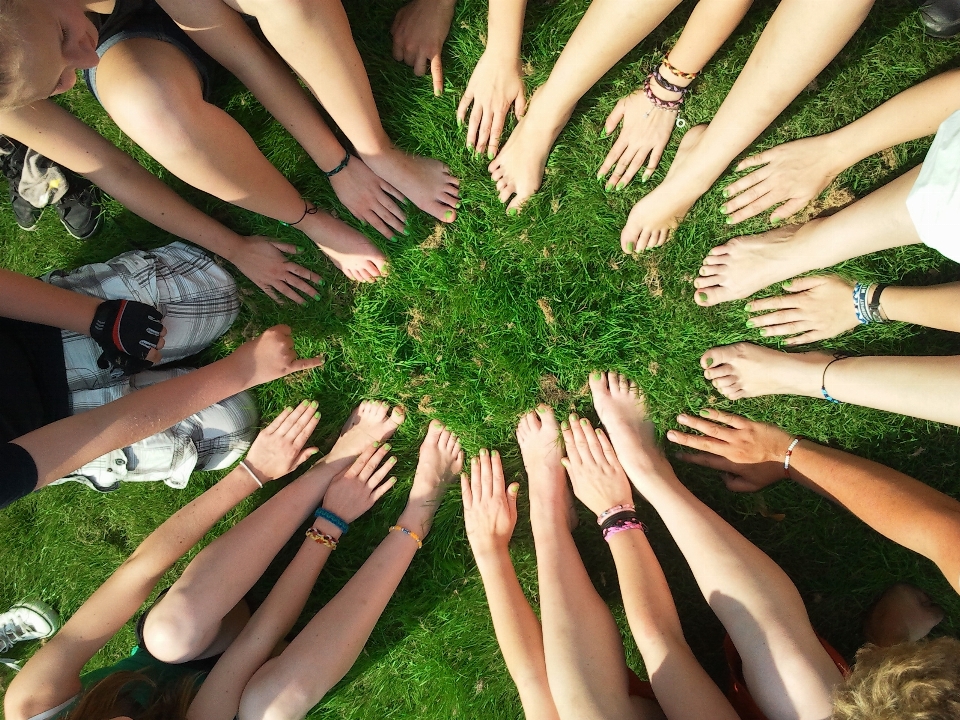 Hand tree grass group