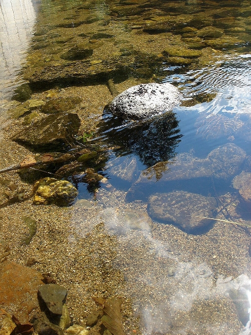 風景 海 木 水