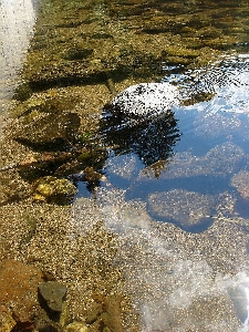 Photo Paysage mer arbre eau