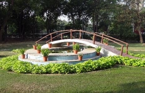 Bridge lawn pond swimming pool Photo