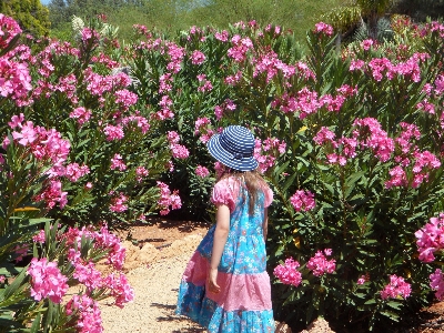 Blossom plant girl lawn Photo