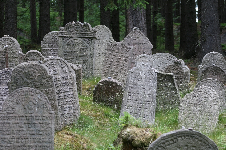 Forest stone cemetery grave