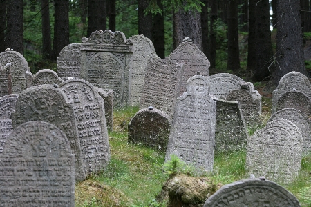 Photo Forêt calcul cimetière grave