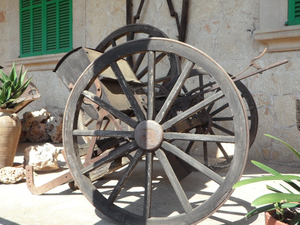 Ruota carrello vecchio veicolo