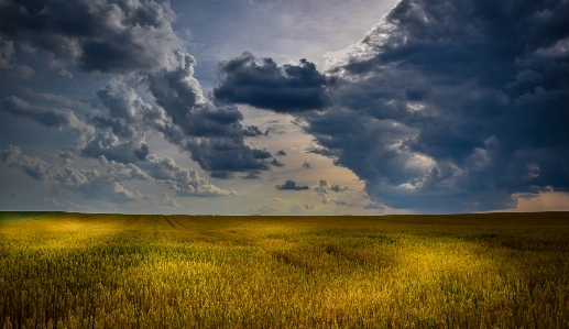 Landscape nature grass horizon Photo