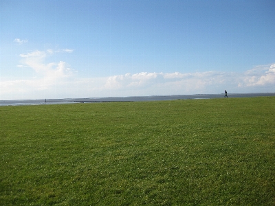 Landscape sea grass horizon Photo