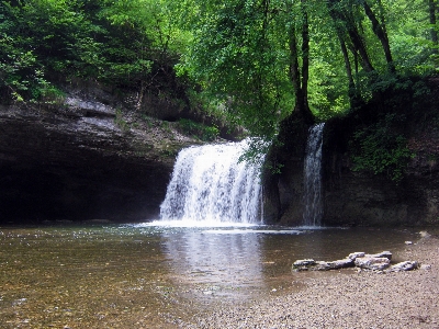 Tree water nature forest Photo