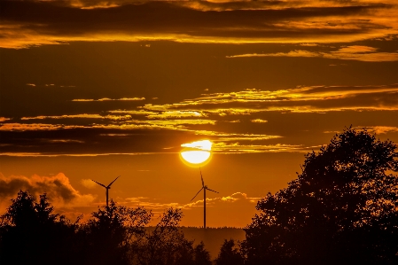 Landscape tree horizon silhouette Photo