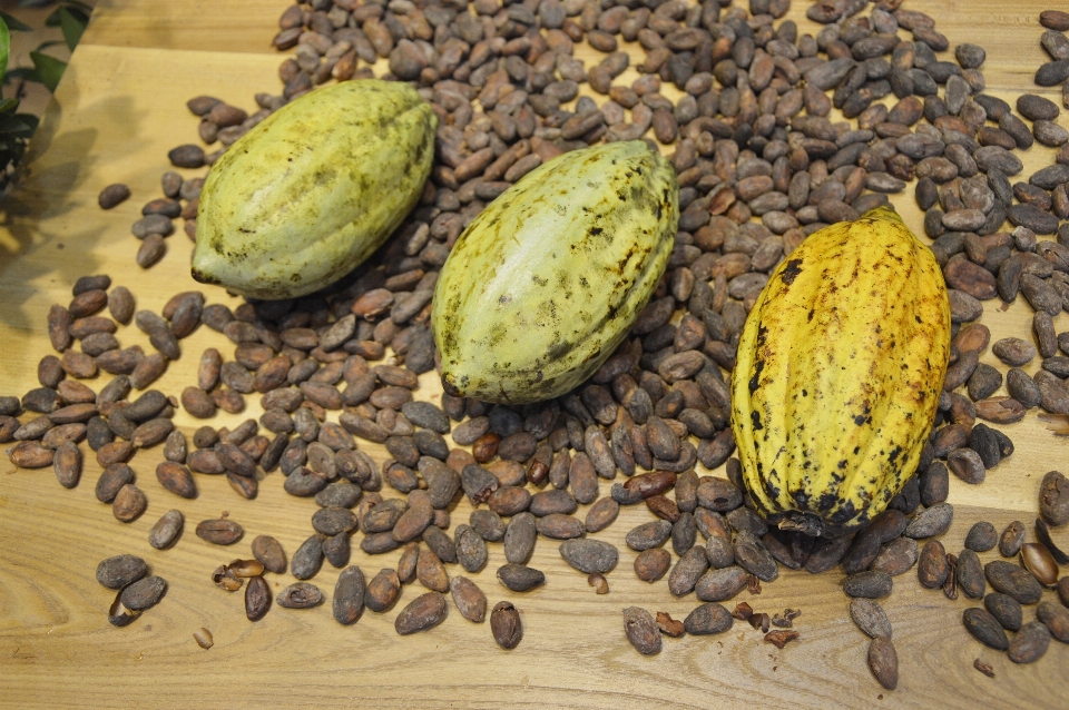 植物 フルーツ 食べ物 生産